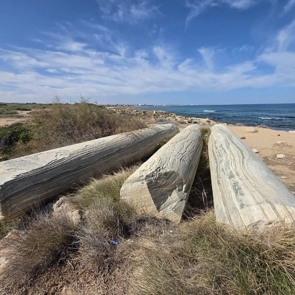 Источник: Алексей Котельников