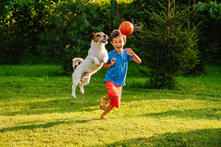 Источник: Getty Images