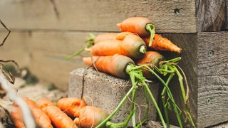 Когда убирать морковь: все о сроках и способах хранения