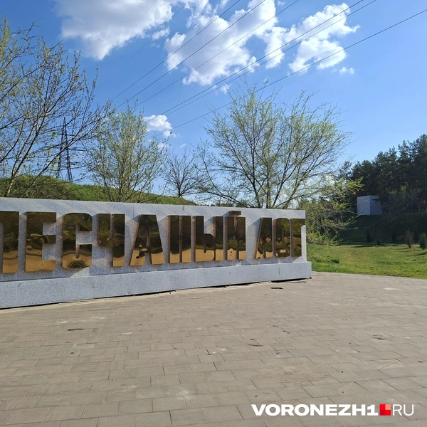 Источник: Алёна Воропаева / Voronezh1.ru