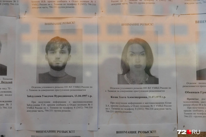 Источник: Ирина Шарова / 72.RU