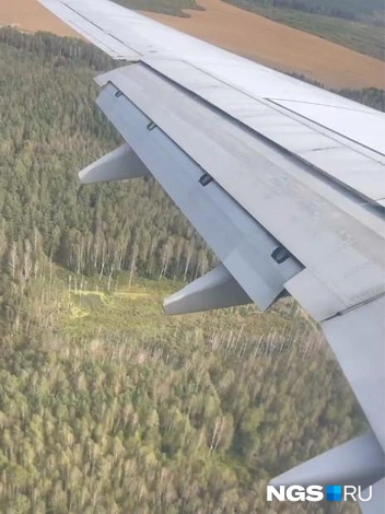 Еще в самолете и по дороге из аэропорта стало понятно, что Минск и его окрестности утопают в зелени | Источник: Настасья Медведева / NGS.RU