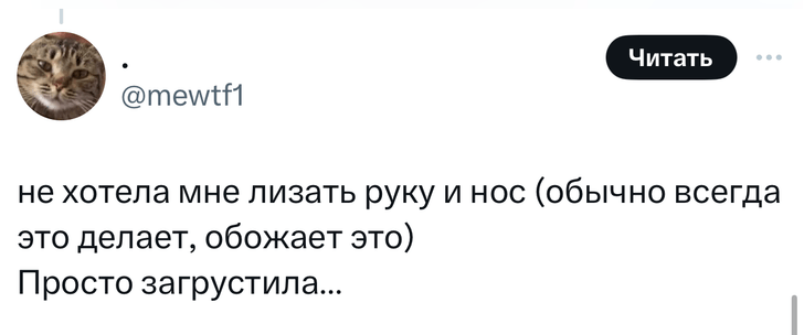 В «Твиттере» делятся тупыми причинами, по которым возили животных в ветеринарные клиники. И это уморительно!