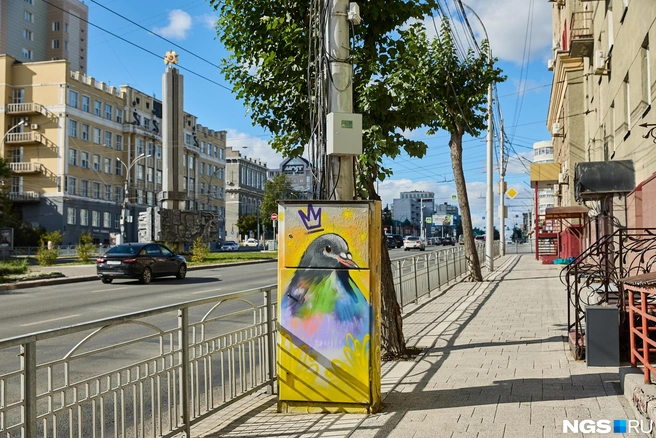 Голубь&nbsp;— тоже часть городского пространства | Источник: Александр Ощепков / NGS.RU