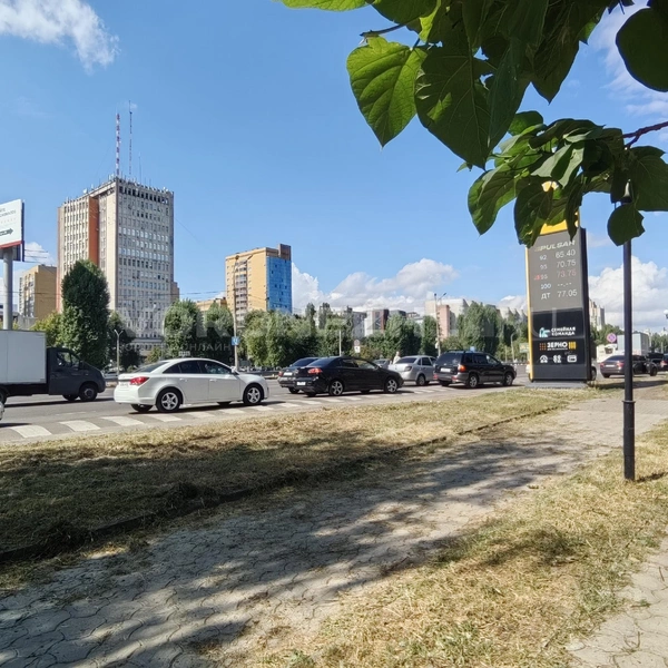 Колонна начиналась от въезда на заправку… | Источник: Андрей Пашинский / Voronezh1.ru