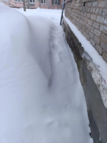 Жители отмечают, что давно не видели дворника | Источник: читатели НГС