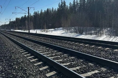 В Алтайском крае пьяный мужчина пострадал от грузового поезда