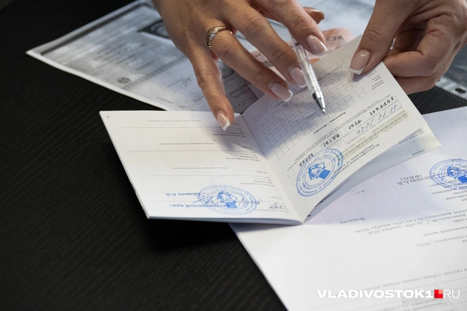 Владельцы домашних собак теперь обязаны зарегистрировать их | Источник: Елена Буйвол / VLADIVOSTOK1.RU