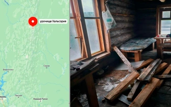 6 фото дома, который разгромил разъяренный медведь (даже лампочки обглодал)