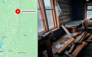6 фото дома, который разгромил разъяренный медведь (даже лампочки обглодал)