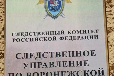 Мать избитого мальчика-инвалида пожаловалась Бастрыкину