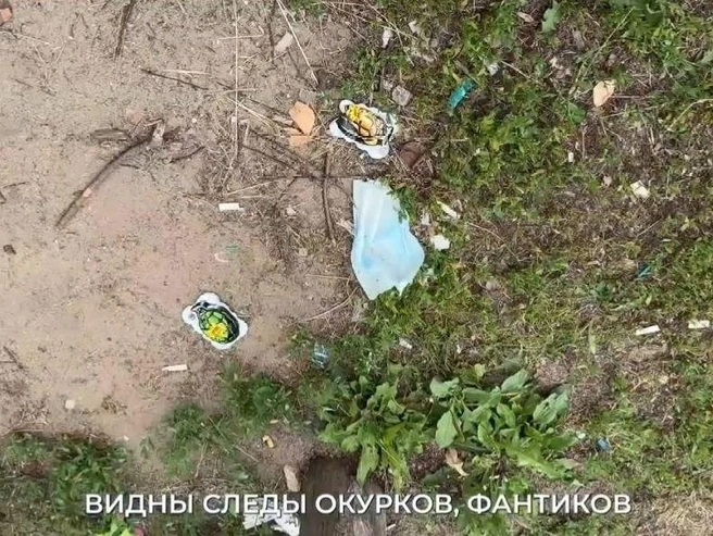 Провести проверку попросили местные жители | Источник: Павел Малков / MAX