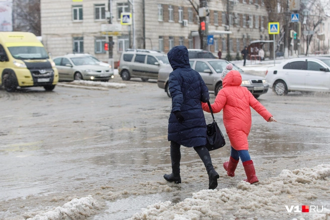 Начало зимы будет неустойчивым, а дождь будет сменяться снегом и наоборот | Источник: Алексей Волхонский / V1.RU