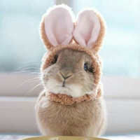 Аватарка ms.fox