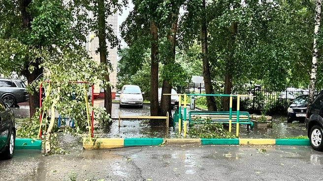 Источник: читатель НГС