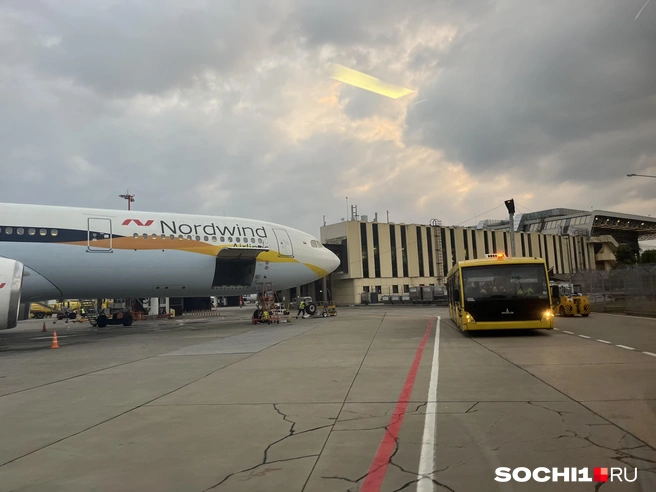 Аэропорт был закрыт всю ночь | Источник: Анна Грицевич / SOCHI1.RU
