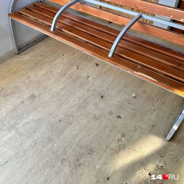 Грязно | Источник: Илья Константинов / 14.RU