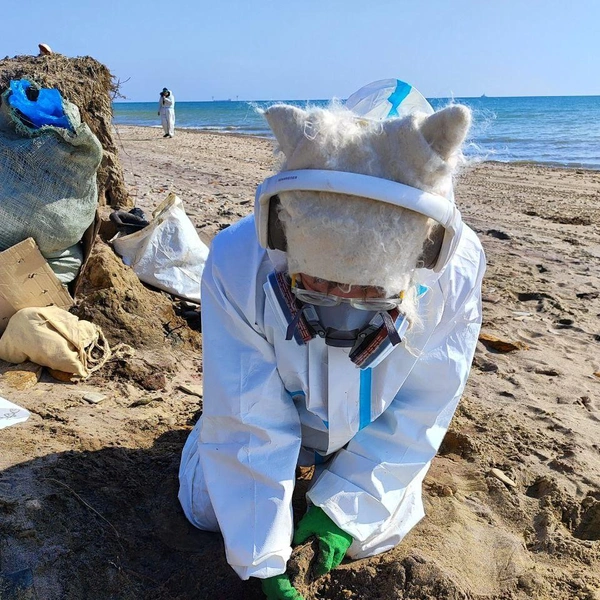 Источник: официальный телеграм-канал Комитета по природопользованию