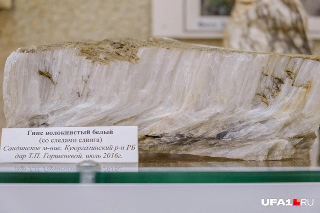 Гипс бывает разный | Источник: Булат Салихов / UFA1.RU