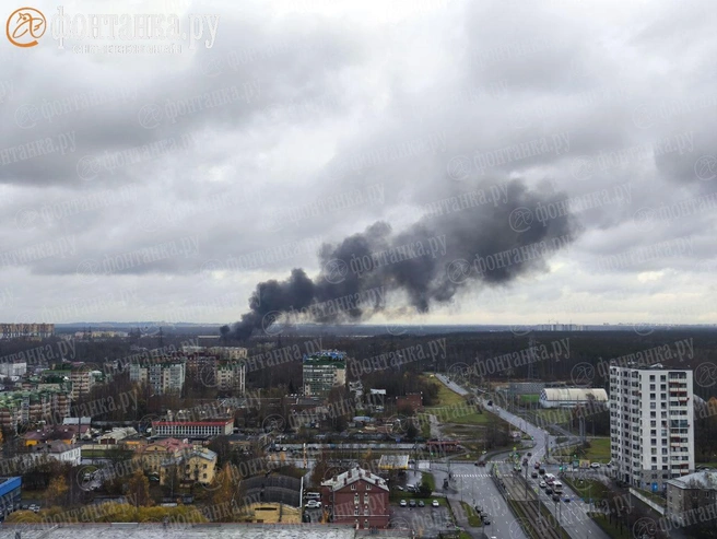 Источник: читатель «Фонтанки»