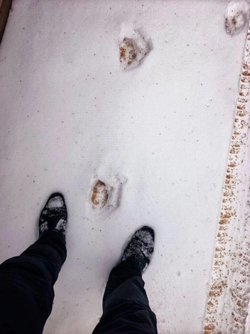 Источник: Очевидцы
