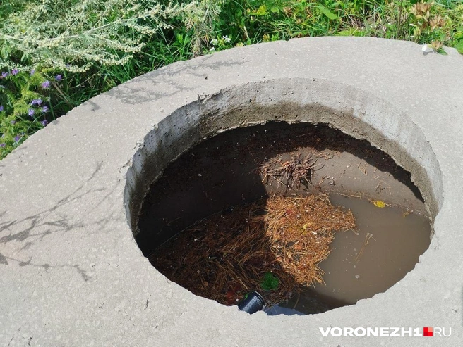 Источник: Дмитрий Волгин / Voronezh1.ru