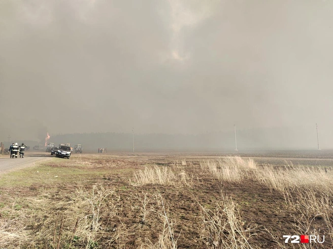 Издалека пожар не кажется страшным | Источник: 72.RU