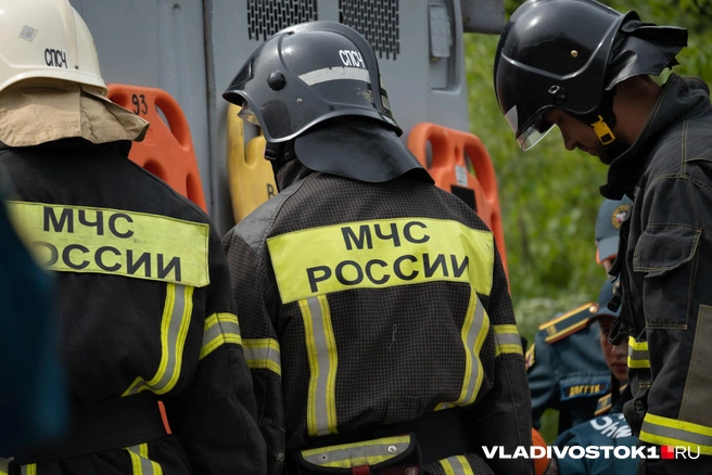 Источник: Елена Буйвол / VLADIVOSTOK1.RU