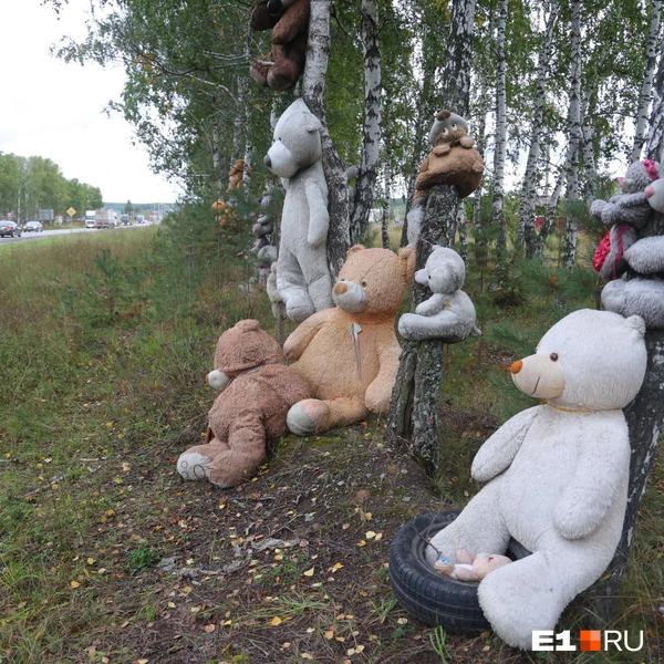 Водителям на трассе хорошо видно медведей  | Источник: Владислав Лоншаков / E1.RU 