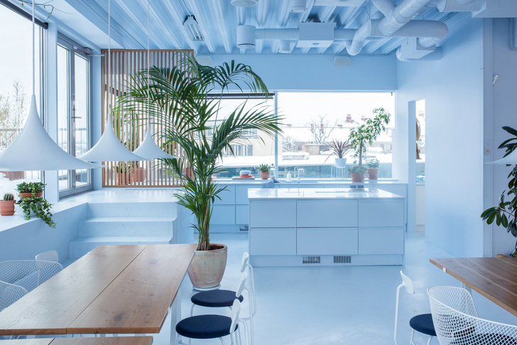 Офис в пастельных тонах по проекту Kvistad в Осло (фото 2)