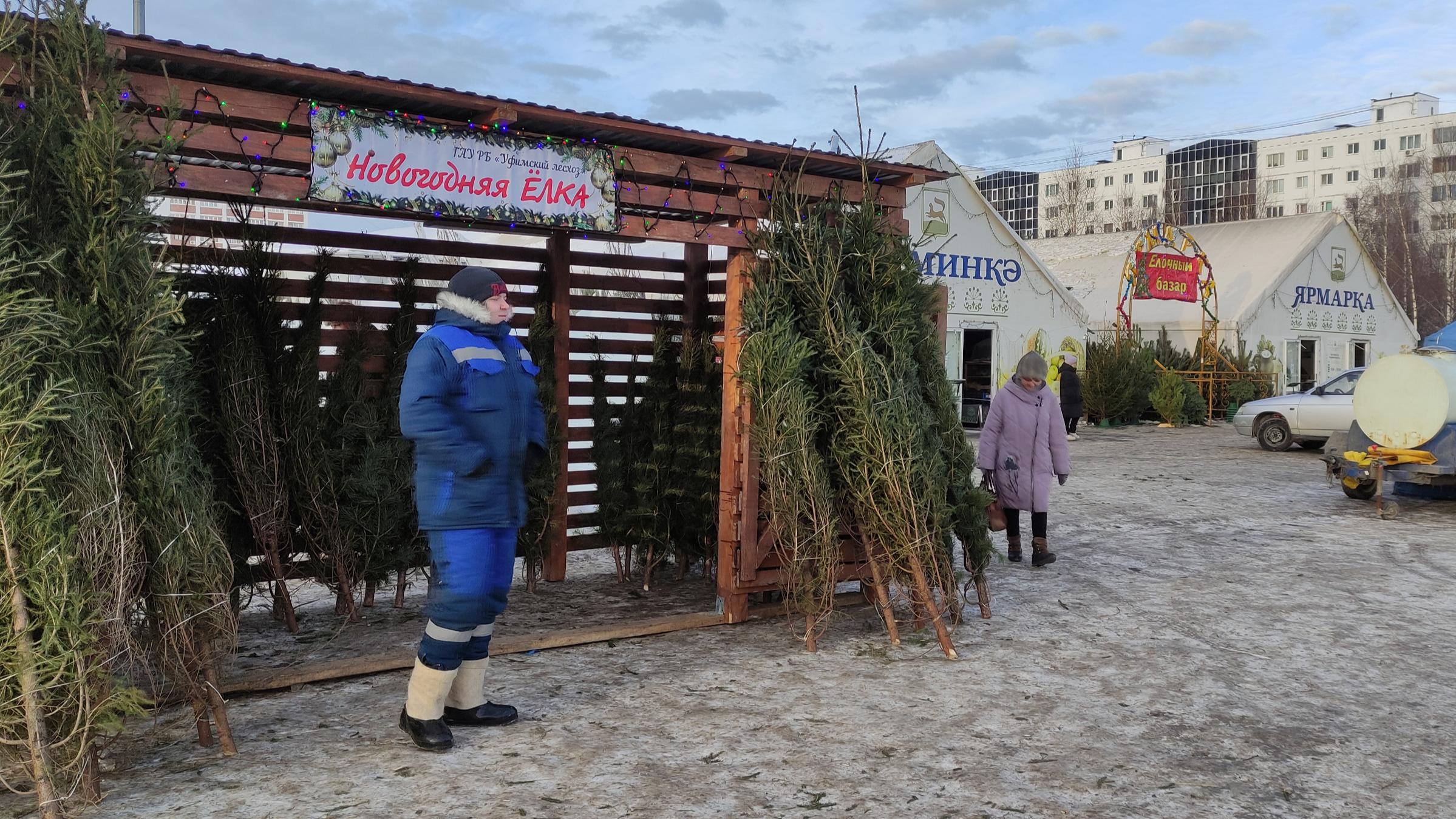 Где купить елку на Новый год в Уфе, декабрь 2022 - 16 декабря 2022 - УФА1.ру