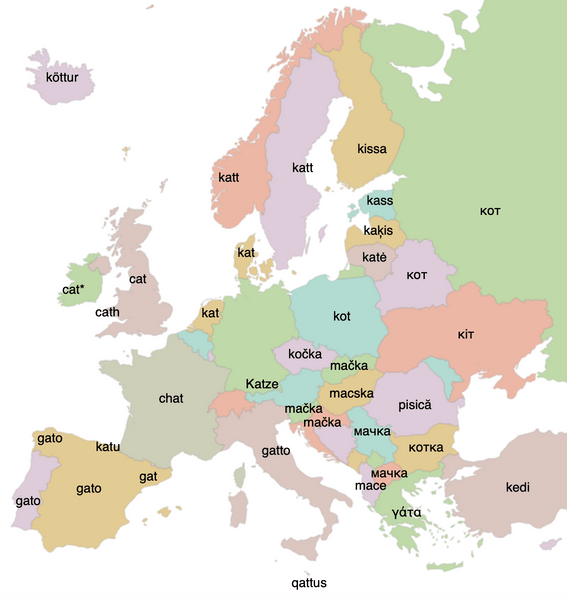 Карта: приключения хвоста, лап и усов в Европе