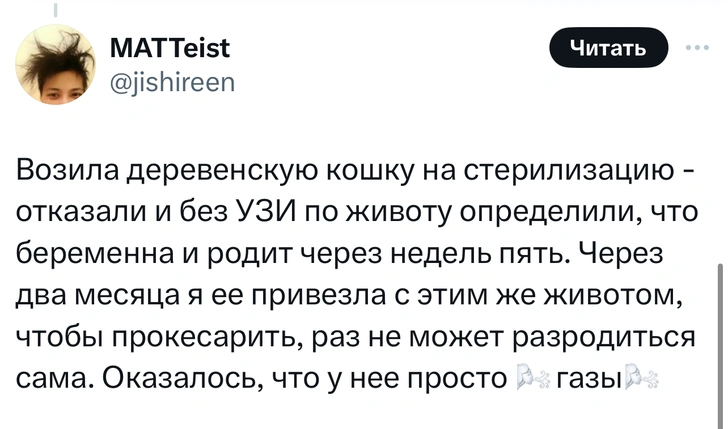 В «Твиттере» делятся тупыми причинами, по которым возили животных в ветеринарные клиники. И это уморительно!