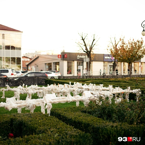 Источник: Дарья Паращенко / 93.RU