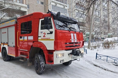 При пожаре в Екатеринбурге спасли двух котов