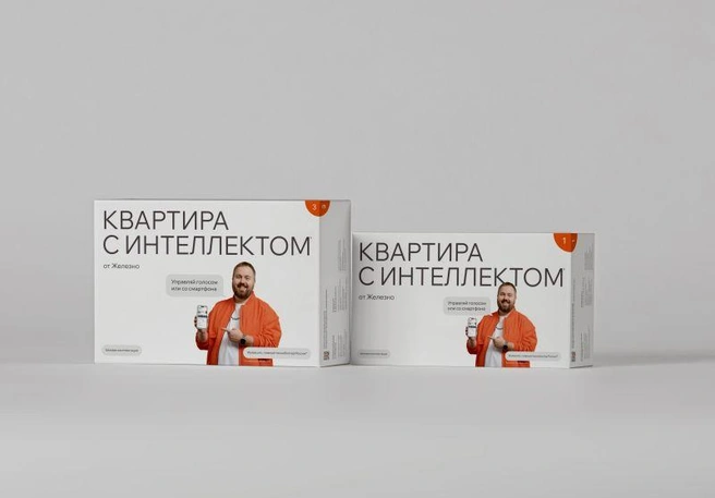 Вот такую коробку получит каждый покупатель квартиры от «Железно» | Источник: «Железно»