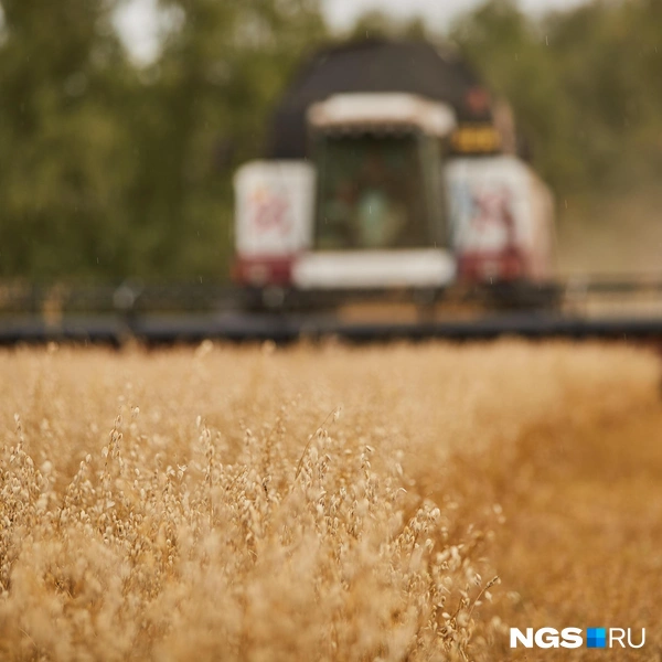 В комбайнах есть и шумоизоляция | Источник: Александр Ощепков / NGS.RU