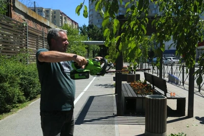 В Астрахани усилили опиловку и формовочную обрезку