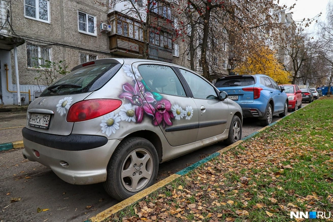Встречаются и довольно простые изображения вроде этих цветов | Источник: Наталья Бурухина / NN.RU