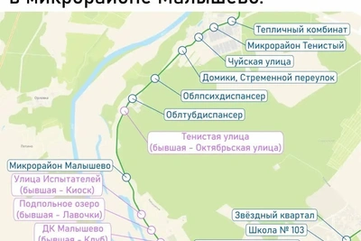 Шесть остановок в Малышево получат новые названия