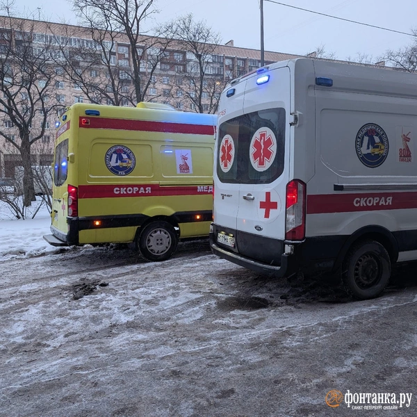 Источник: читательница «Фонтанки» Елена