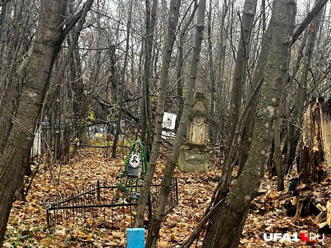Источник: Екатерина Чижик / UFA1.RU