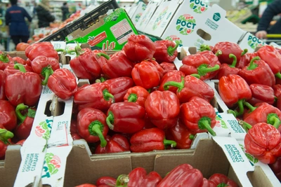 Агроном: для перца лучше перевалка, а не пикировка