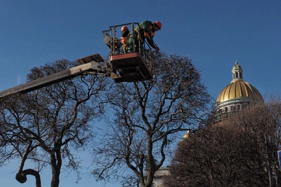 Солнечная погода в Петербурге без потепления, в Москве тепло