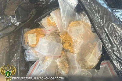 В Приамурье осудят черных копателей за золото на 130 млн