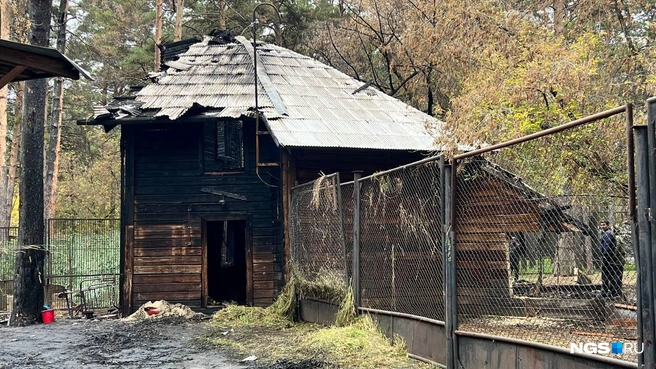 За тушением и разбором завалов следил весь город | Источник: Анастасия Медведева / NGS.RU