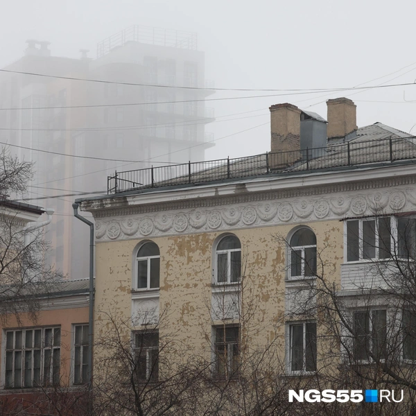 Новизна, застрявшая в природных текстурах  | Источник: Евгений Софийчук / NGS55.RU
