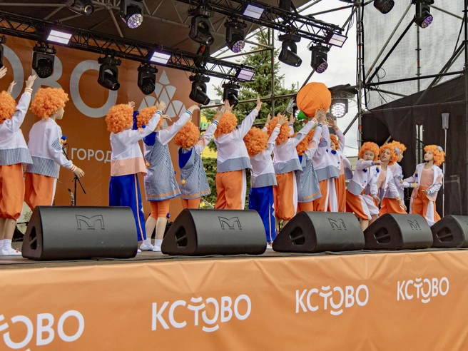 В концерте участвуют творческие коллективы | Источник: мэрия Нижнего Новгорода