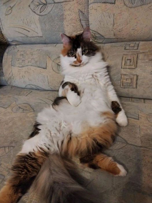 Как короткую неделю отработали? Устали? | Источник: читатель 63.RU