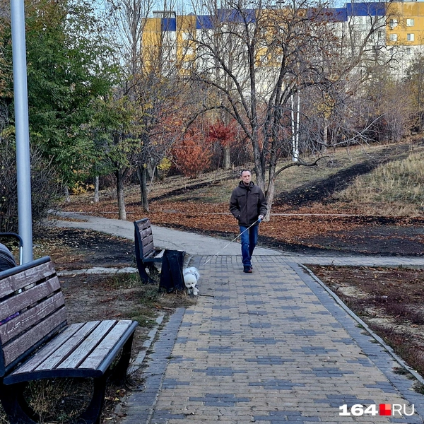 Найдите коляску | Источник: Виктория Федорова / 164.RU